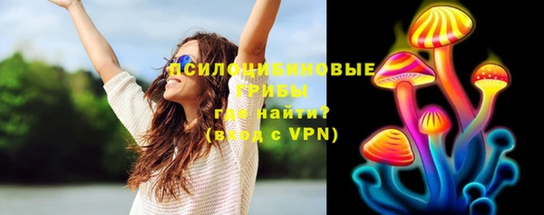 spice Алзамай