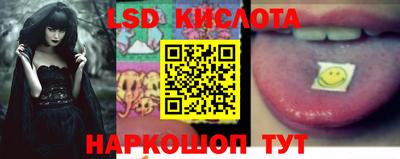 прущие грибы Гусиноозёрск
