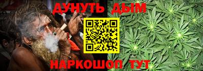 прущие грибы Гусиноозёрск