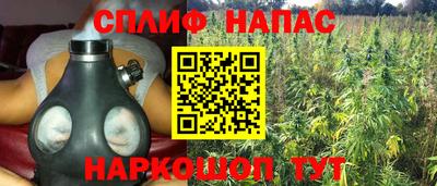 каннабис Гусев