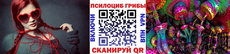 kraken сайт  Арсеньев  Галлюциногенные грибы Magic Shrooms  купить наркоту 