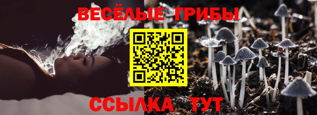 Галлюциногенные грибы прущие грибы  Вход с VPN  Арсеньев 