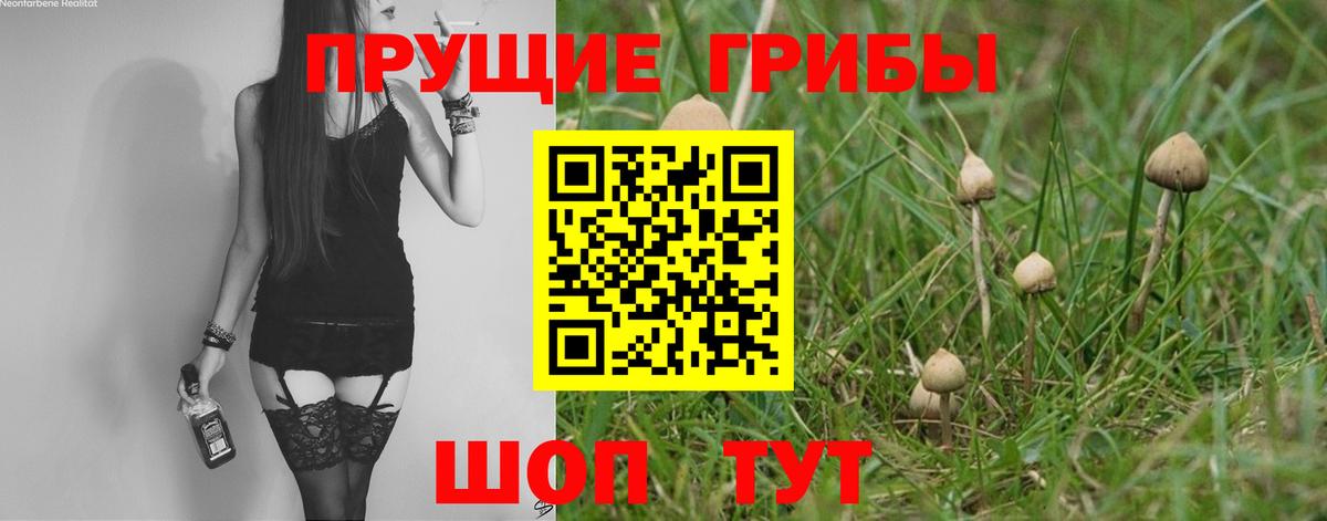 Псилоцибиновые грибы мухоморы Арсеньев