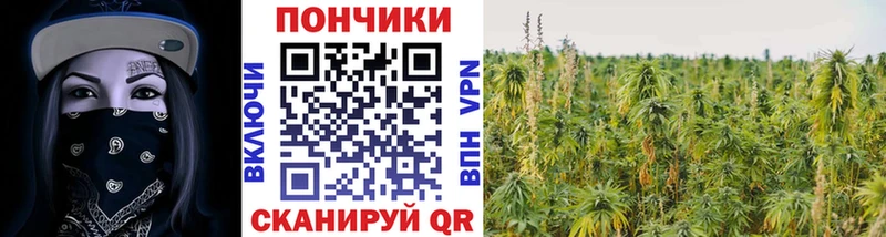 МАРИХУАНА ГИДРОПОН  как найти закладки  Арсеньев 